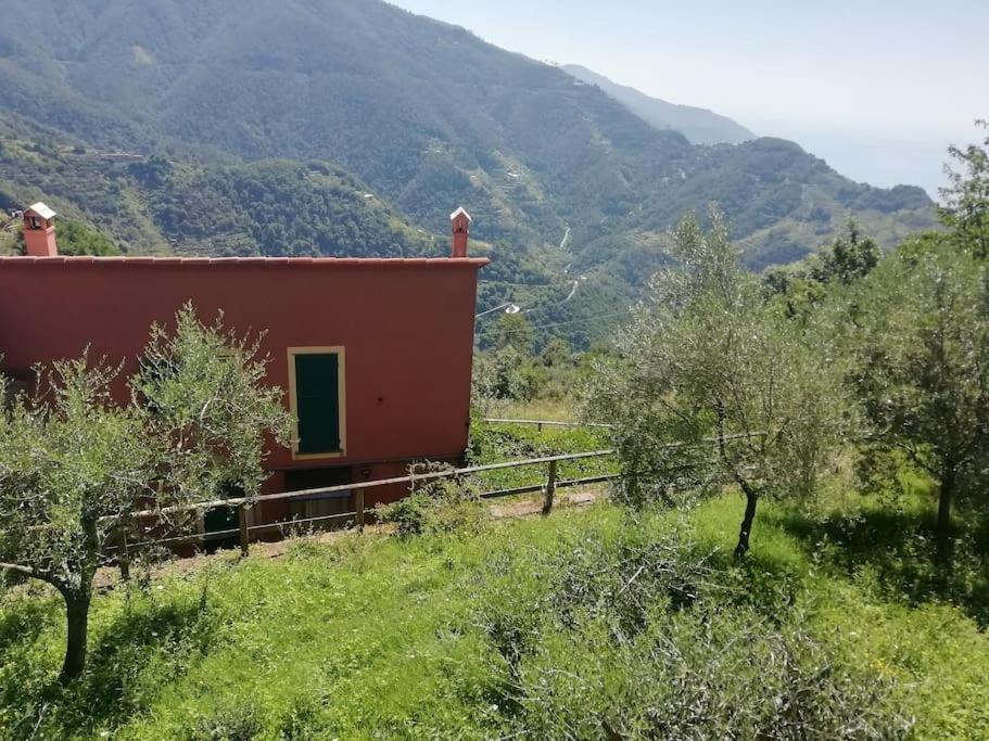 Quiet And Cozy Home With Wi-Fi Casa Prearino Vernazza Dış mekan fotoğraf